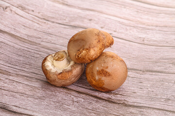Raw brown champignons mushroom heap