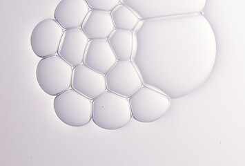 foams or bubbles or cells on the white background