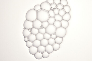 foams or bubbles or cells on the white background