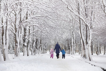 Fototapeta na wymiar Snow-covered winter park and benches. Park and pier for feeding ducks and pigeons.Family on a walk in the snow covered the park.