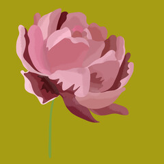 Duży jasny różowy kwiat na zielonym kontrastowym tle - obrazy, fototapety, plakaty