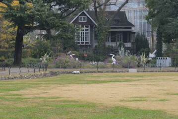 Obraz premium Winter morning in Hibiya, Marunouchi, Tokyo, 12/12/2021