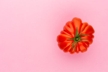 Tomato on the color background.