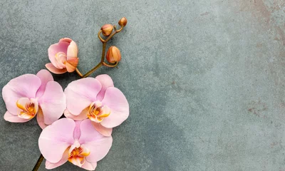 Foto auf Acrylglas Pink spa orchid theme objects on pastel background. © gitusik