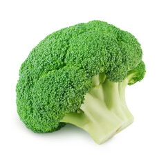 Fresh green broccoli isolated on a white background.