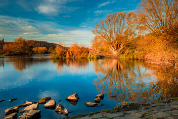 arbres d& 39 automne reflétés dans l& 39 eau