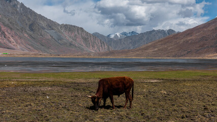 Landscape of Lake and mountains