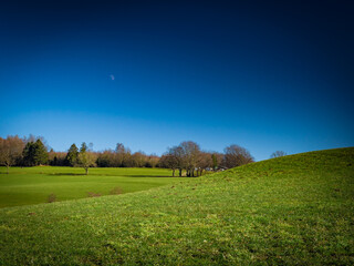 field and sky