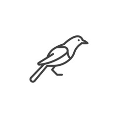 Magpie bird line icon