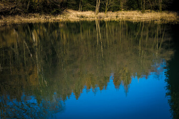 Obraz premium reflection in water