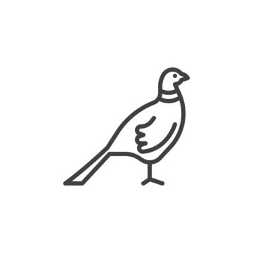 recommend clip art: Ringneck Pheasant line icon