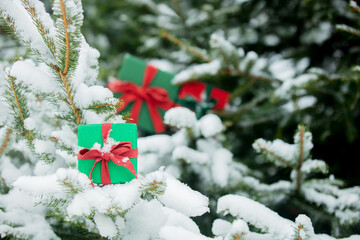 Green gift box with red bow on snow branch in outdoor.