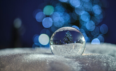 Christmas tree in the crystal ball in the snow