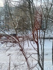 Typical Russian Home