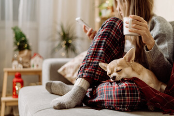 Cozy woman in knitted winter warm socks and sweater with sleeping dog and checkered plaid holding a cup of hot cocoa or coffee, during resting on couch at home in Christmas holidays. Winter drinks. - Powered by Adobe