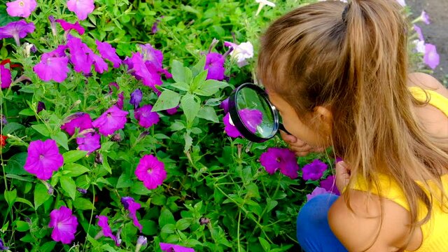 The child examines the plants with a magnifying glass. Selective focus.