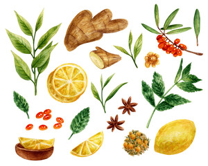 Watercolor clipart with tea