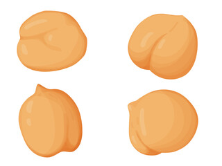 Chickpeas set. Vegetarian food drawing. Farm market product. 