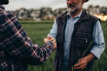 close p of farmers handshake outdoor