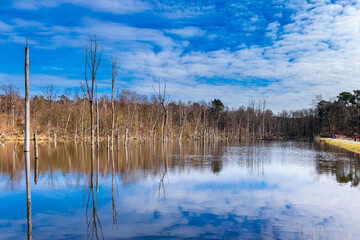 lake and sky
