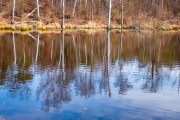 reflections in the water
