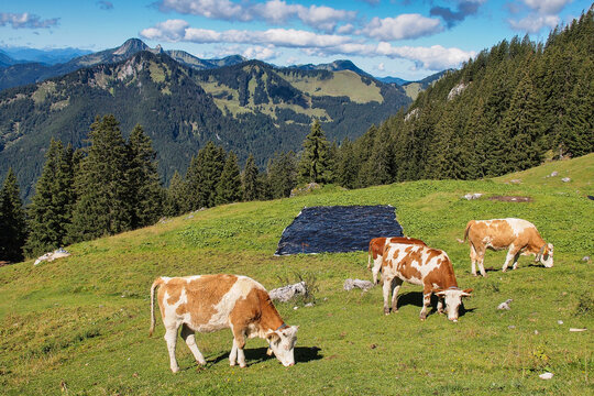 Bavarian Alps, Rotwand, close to Munich, South Germany