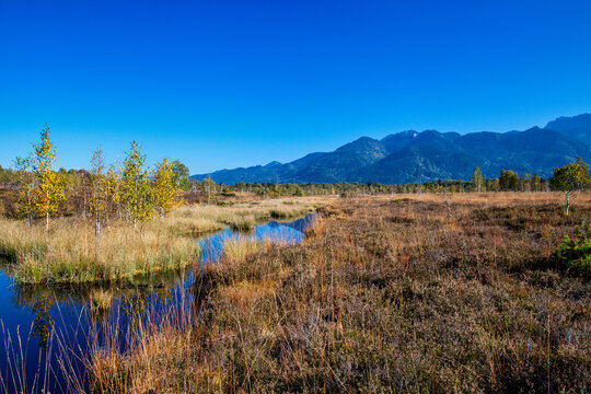 Kendlmuehlfilz near Grassau, an upland moor in Southern Bavaria, Germany