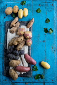Studio shot of different variety of raw potatoes lying on blue painted wooden surface