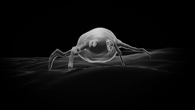 dust mite concept electron
