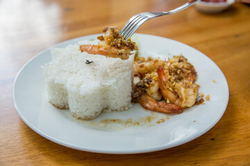 Rice with Stir Fried Shrimp with Garlic and White Pepper