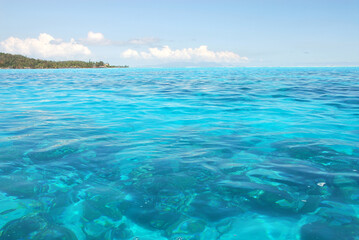 BoraBora島の思い出