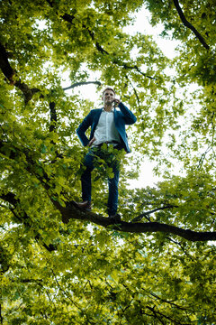 Businessman talking on mobile phone standing on tree branch