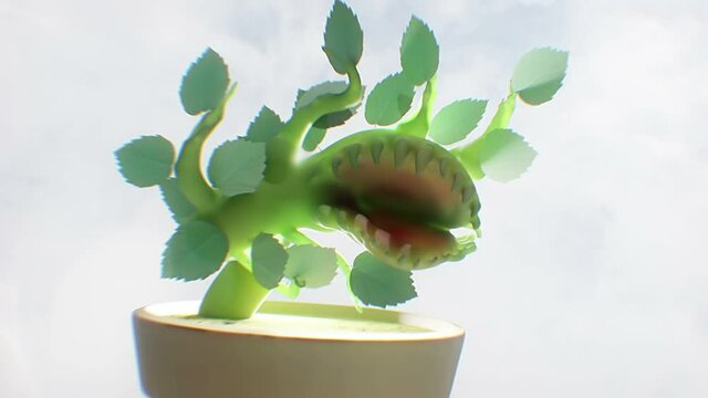 venus flytrap 2