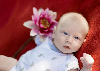 A cute little newborn baby boy with rose flower lying on the red blanket ,close-up of baby face