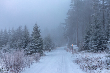 Sch&ouml;ne Winterlandschaft auf den H&ouml;hen des Th&uuml;ringer Waldes bei Floh-Seligenthal - Th&uuml;ringen