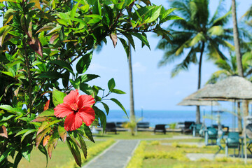 Fototapeta na wymiar Peeking over east coast