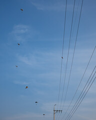 paragliding in the sky