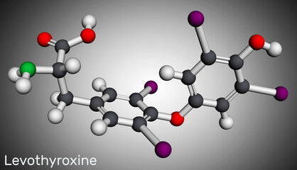 Levothyroxine, L-thyroxine, molecule. It is synthetic form of the thyroid hormone thyroxine, T4 hormone, used to treat hypothyroidism. Molecular model. 3D rendering