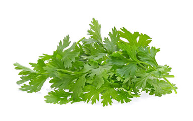Coriander isolated on white background