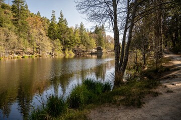 Fototapeta na wymiar Fulmor Lake Picnic Area in Idylwild, California