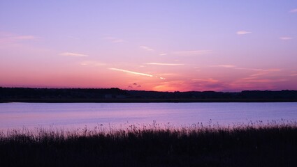 利根川の夕焼けと鳥2