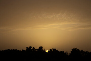 Sunset in the forest. Sun framed between forest trees during dusk. Sunset. Dusk. Dusk and forest. Jungle during sunset. Dusk sky. Forest background. Trees silhouette