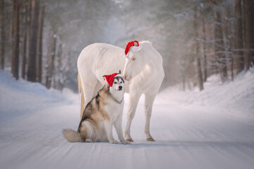Little Santa's helpers is horse and dog 