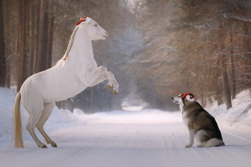 Little Santa's helpers is horse and dog 