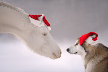 Little Santa's helpers is horse and dog 