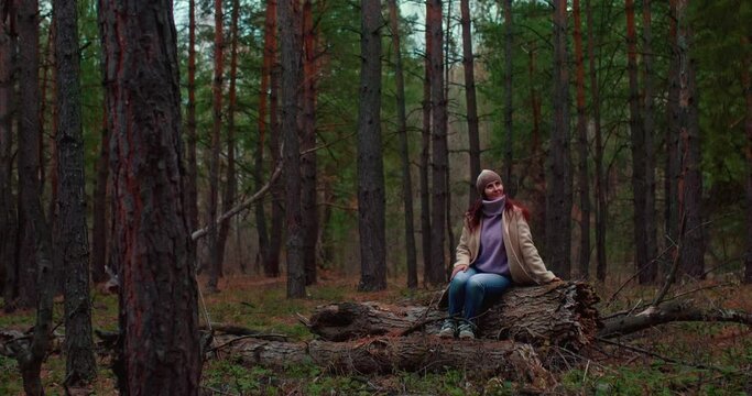 Happy woman sits on a fallen log and dreams of a beautiful coniferous forest. Young woman looks around and enjoys the beauty of the forest. Tall trunks of pines and firs. 4k, ProRes