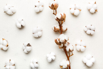 Autumn Floral Flat lay background composition. Dried white fluffy cotton flower branch top view on colored table with copy space