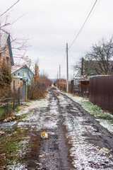 sad abandoned cat sitting on a muddy road on the street