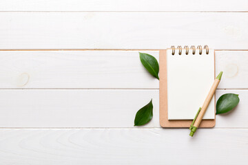 eco-friendly Empty notebook with pen and green leaf on Colored background for note
