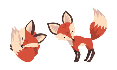 Cute Fox Character with Bushy Brush Tail and Triangular Ears Vector Set
